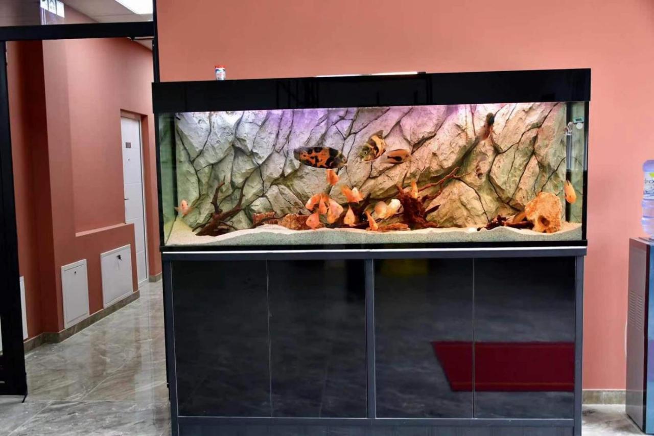 Asuka Apartmani 飞鸟客 Surčin Εξωτερικό φωτογραφία